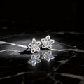 Blooming Radiance Diamond Earrings - VITTAM